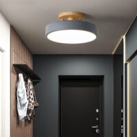 SimaAvize Modern Tekli Led Davul Avize